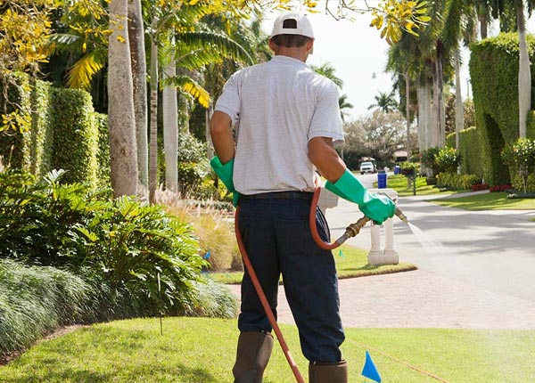 About Elizaville KY Pest Control